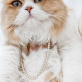 16.70ctw Diamond Semi-Tennis Necklace