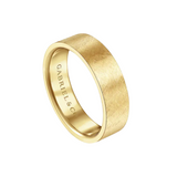 Ian 6mm Men's Wedding Band in Brushed Finish