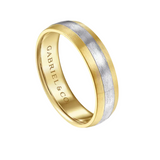 Ezra 6mm Two Tone Men's Wedding Band in Satin Finish