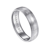 Ezra 6mm Two Tone Men's Wedding Band in Satin Finish