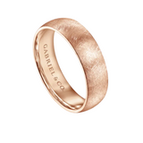 Isaac 6mm Men's Wedding Band in Diamond Brush Finish