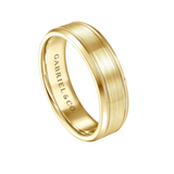 Charles 6mm Men's Wedding Band in Satin Finish