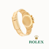 Rolex Daytona 18K Yellow Gold Black Dial 116508