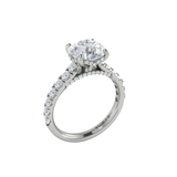 Timeless Cathedral Engagement Ring with Hidden Halo