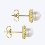 Pearl with Diamond Halo Studs