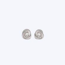 Load image into Gallery viewer, Desert Rose Series Earrings
