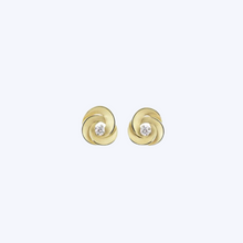 Load image into Gallery viewer, Desert Rose Series Earrings
