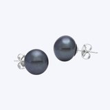 Fresh Water Black Pearl Studs
