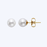 Freshwater Pearl Studs