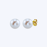 Mastoloni 14K Yellow Gold Link 10-10.5mm Freshwater Pearl Studs