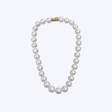 14K Yellow Gold 13mm Large Freshwater Cultured Pearl Necklace - 19" (JBUD)