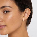 14K Yellow Gold 0.35ctw Diamond 14mm Hoops (HM)