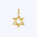 Gabriel & Co 14K Yellow Gold Star of David Pendant