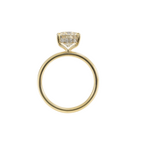 2.69ctw Elongated Cushion Lab Diamond Solitaire w/ Hidden Halo