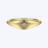 Dana Diamond Starburst Signet Ring